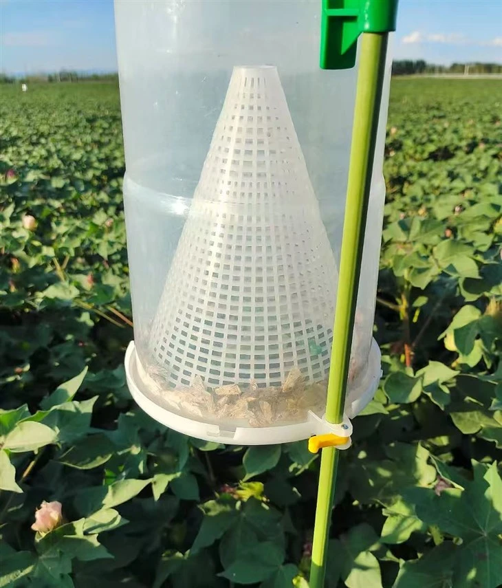 Asiatic Rice Borer Pheromone Traps
